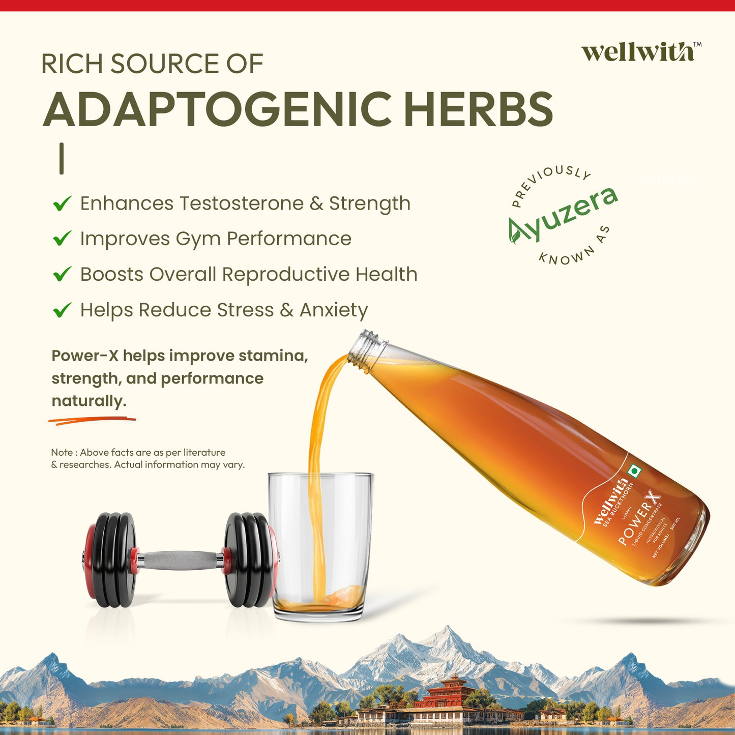 Men's Power X Sea Buckthorn Juice 300ml