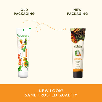 Dentowin Sea Buckthorn Herbal Toothpaste 100gm