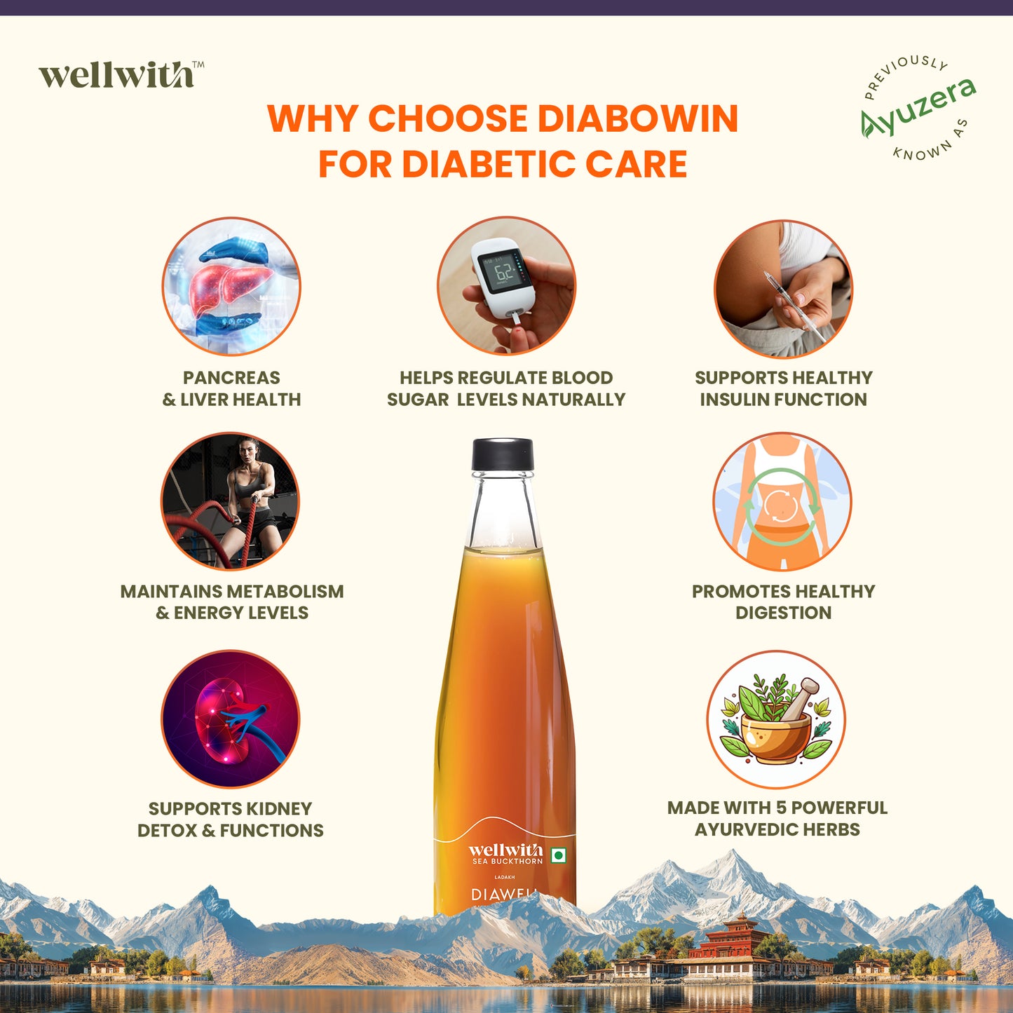 Diabo Care Sea Buckthorn DiaWell Juice 300ml