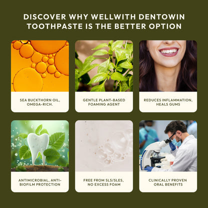 Dentowin Sea Buckthorn Herbal Toothpaste 100gm