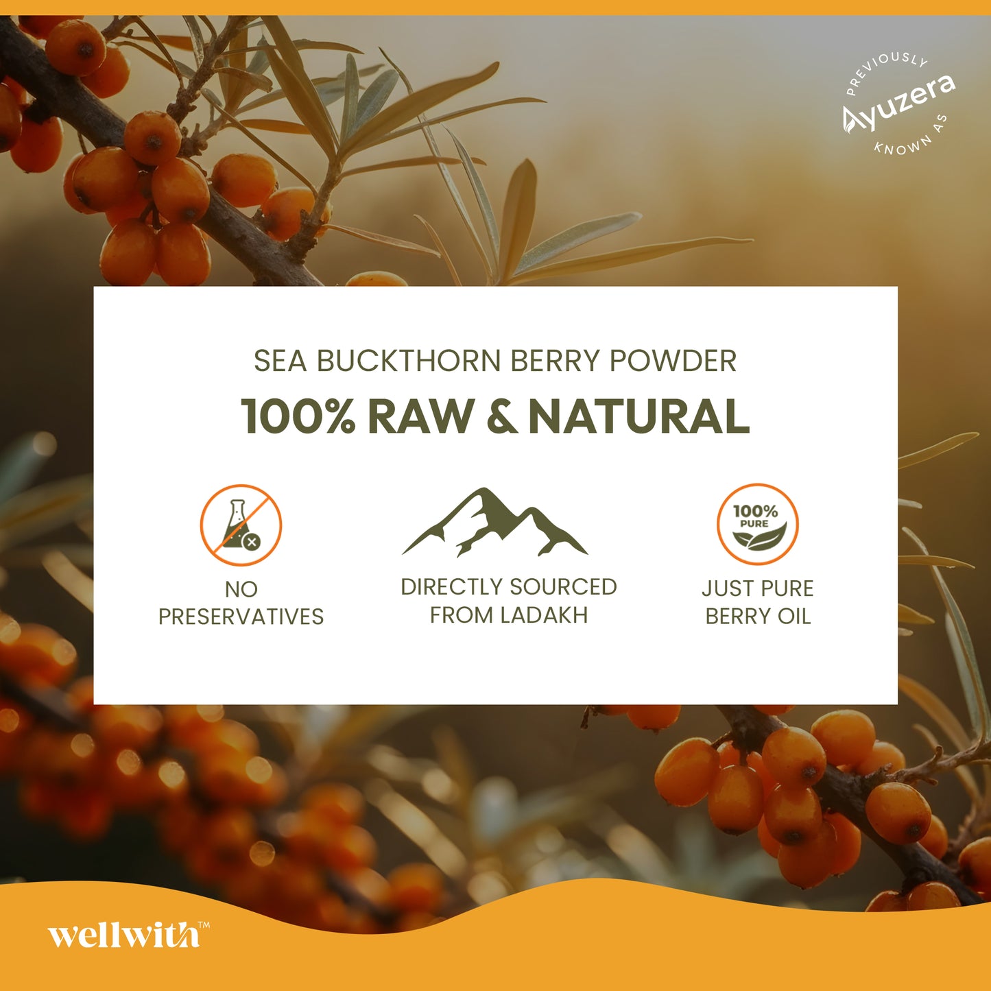 Sea Buckthorn Omega 3,6,7,9 Oil Capsule (30 Capsule)