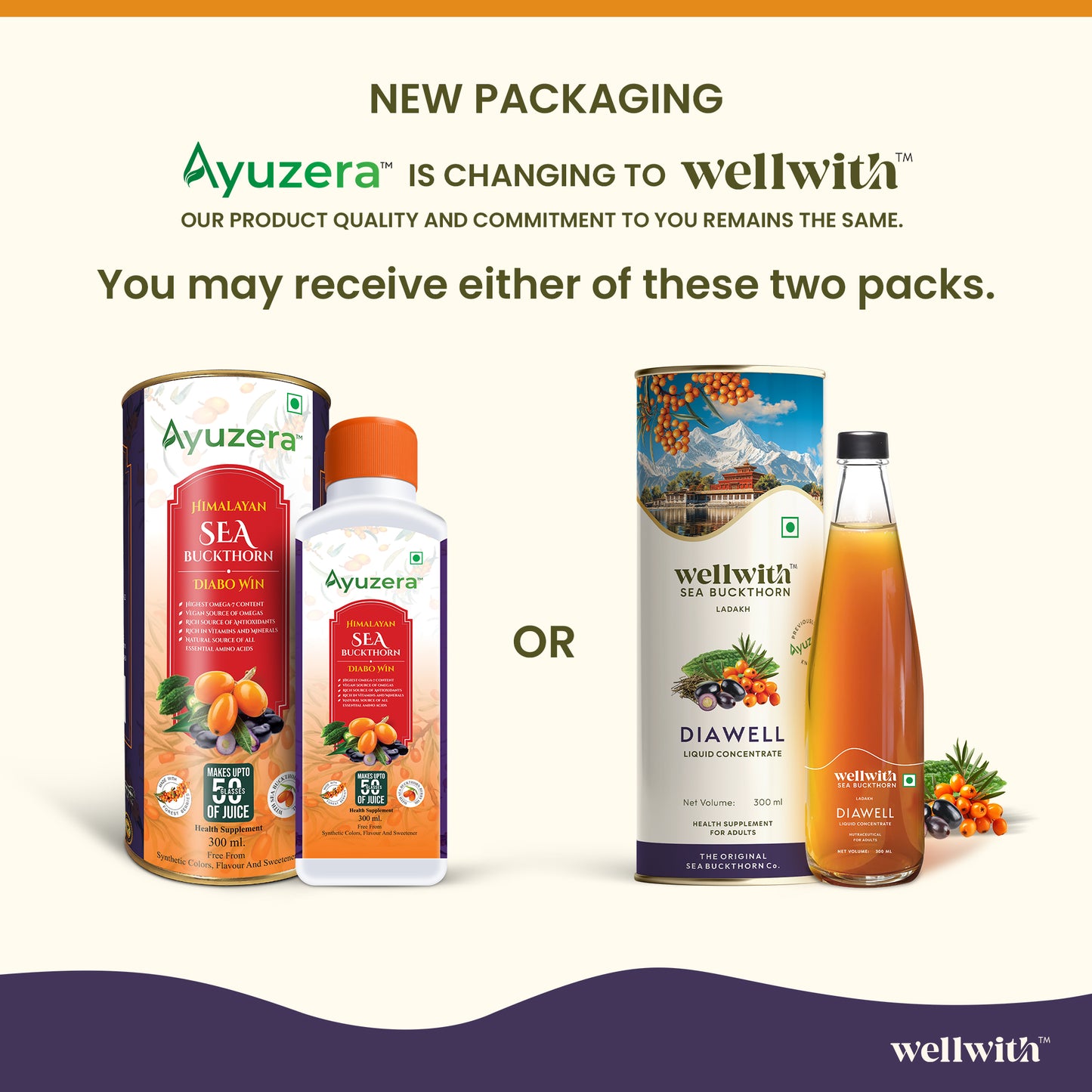 Diabo Care Sea Buckthorn DiaWell Juice 300ml